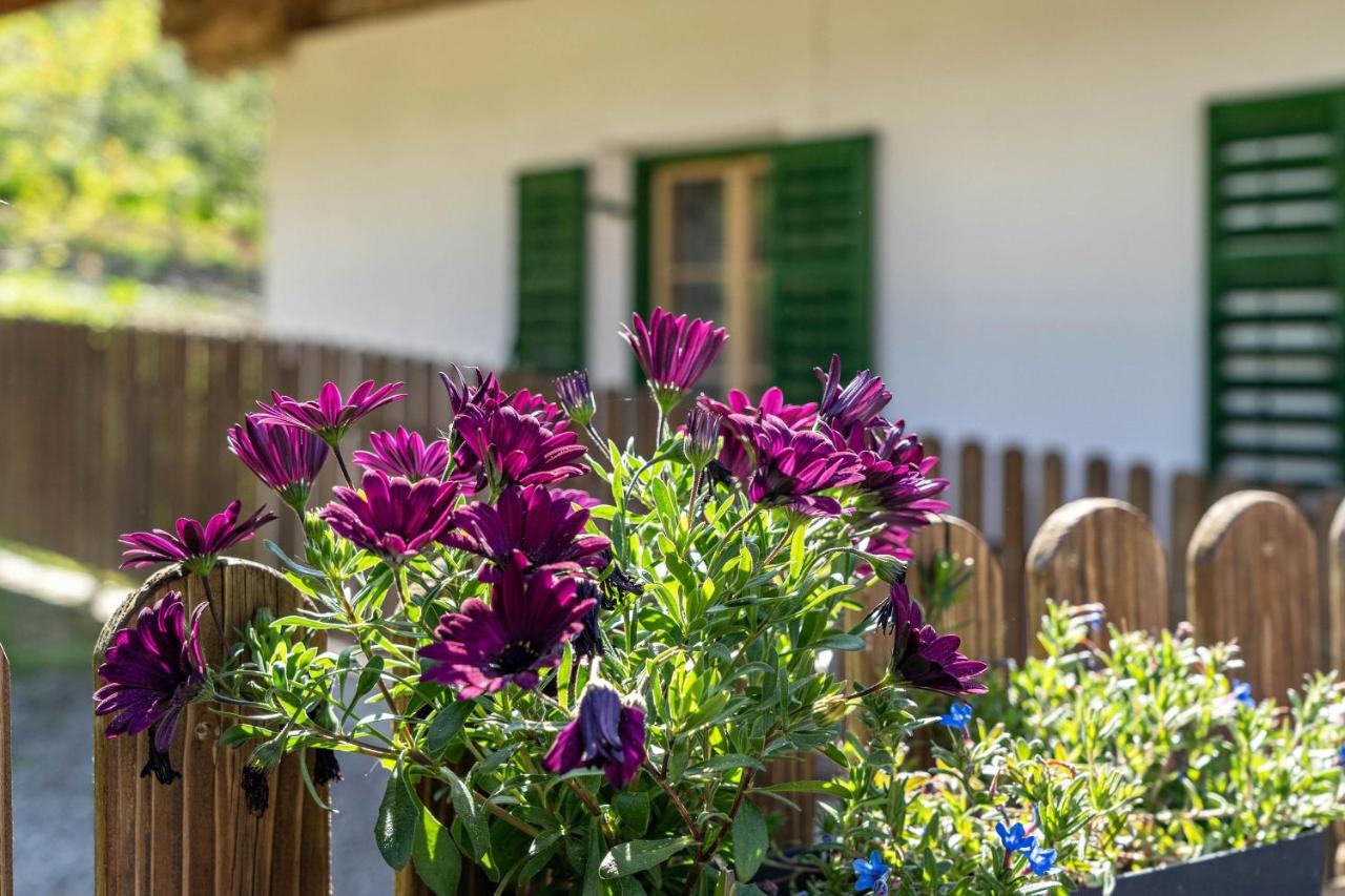Ferienwohnung Brunjaunhof Schenna Exteriér fotografie